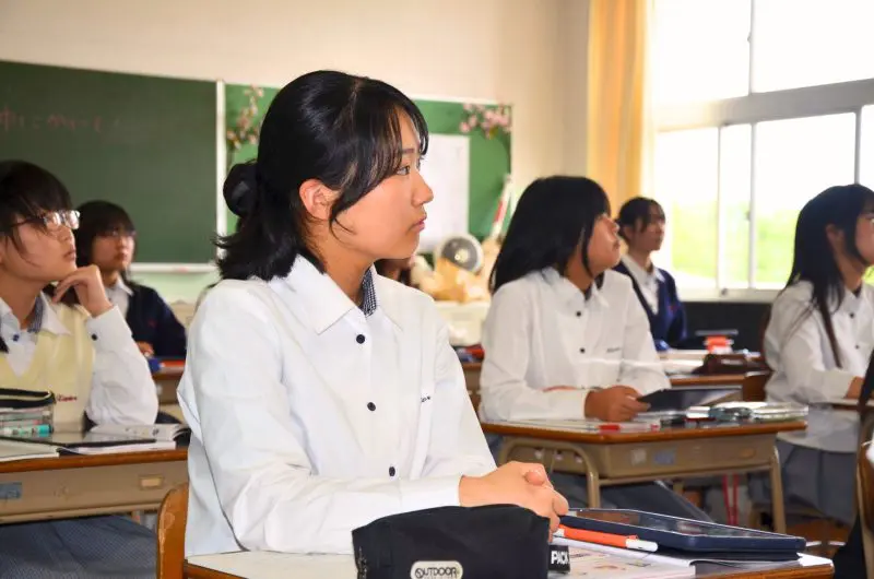 d074d216 b2ca 451f b51d 38d9d436102e 800x530.jpg